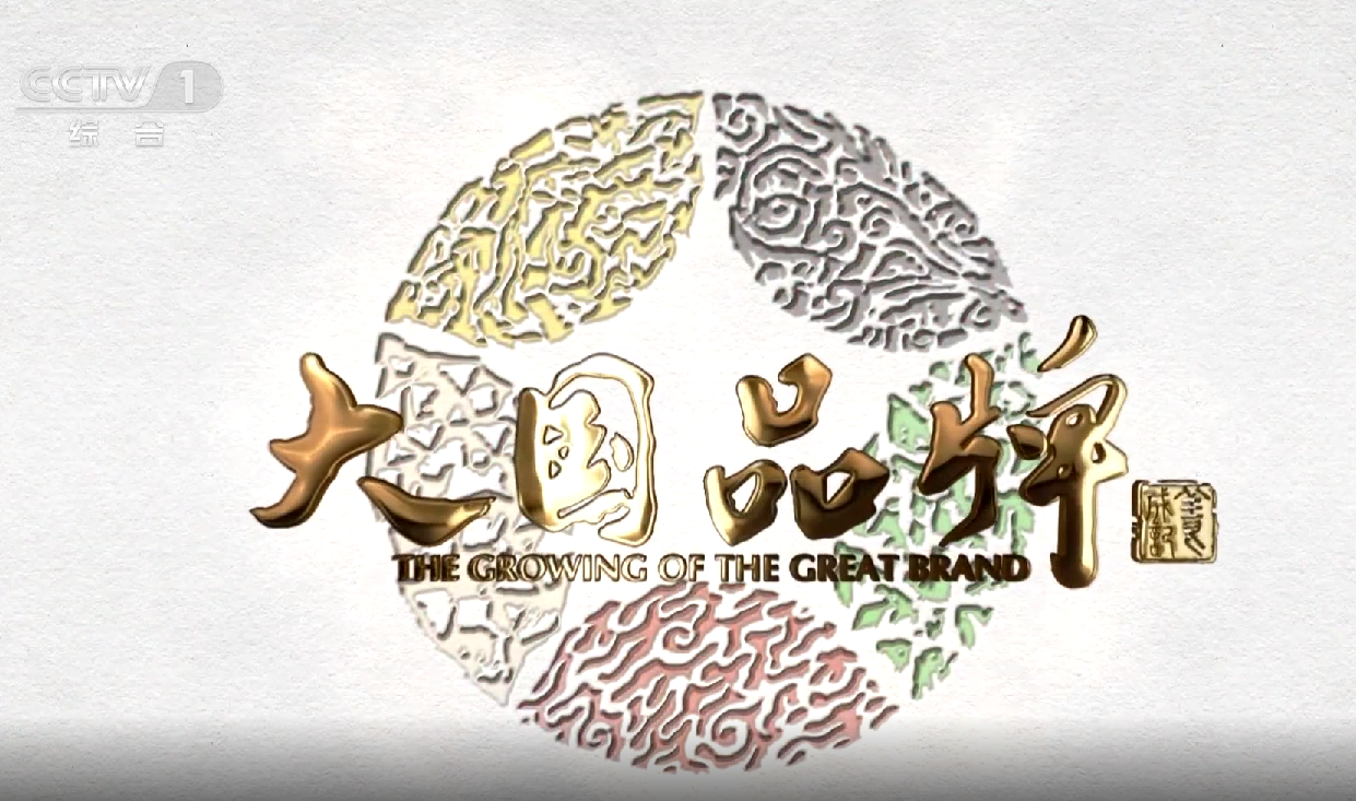 2021年凯发官网大国品牌片《品质的构筑》